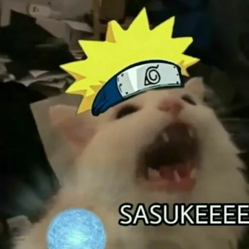 naruto, narutos reaktion, naruto ist lustig, katze narutooooooooo, anime naruto memes