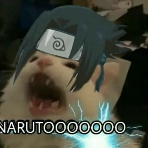 naruto, sasuke cat, naruto uzumaki, karakter naruto sasuke, sasuke cat screams narotoooooo meme
