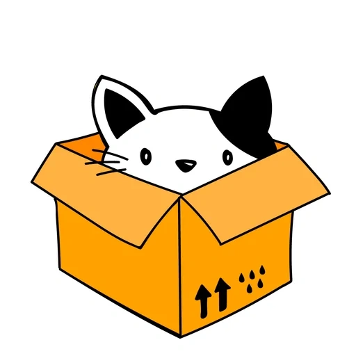 cat, кошка, box cat коробка