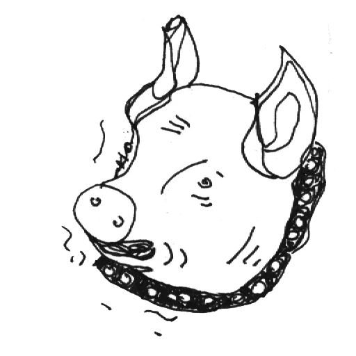 babi, gambar, pigue, ilustrasi, babi kaban