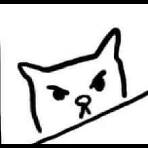 die katze, cat, funny, the bongo cat, original bongo katze