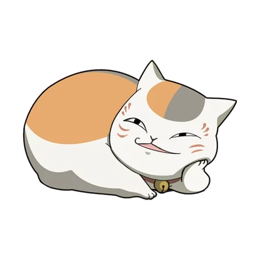 kucing, kucing, guru niako, guru tahun ini, anime kucing tidak memiliki latar belakang
