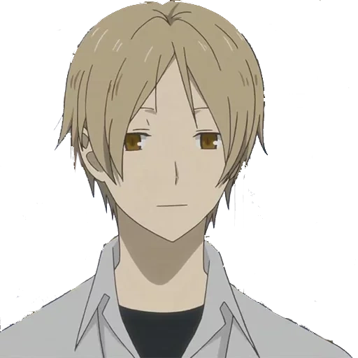 anime, natsume, takashi natsume, personnages d'anime, carnet d'amitié d'anime natsume