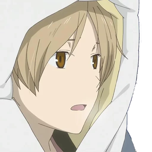 natsume, takashi natsume, hotarubi no mori, carnet d'amitié natsume, notebook anime friendship natsume owaku 1