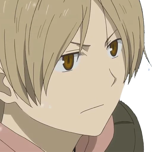 natsume, meilleur anime, takashi natsume, personnages d'anime, carnet d'amitié natsume