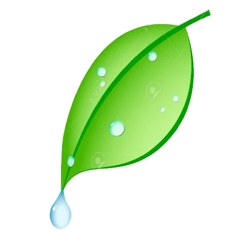 water droplets, green ivf, green leaf, deciduous logo, leaf drop