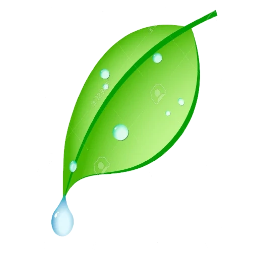 gotas, eco verde, hoja verde, una gota con un logotipo de hoja, hoja una gota de niños