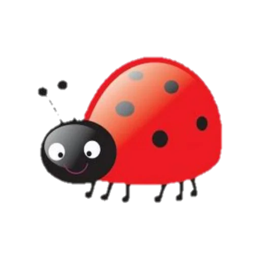 coccinella, mila della mucca di dio, clipart della mucca di dio, piccolo mucca di dio, insetto di mucca di dio