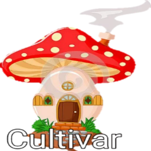 champignon de maison, maison de champignons, maison de champignons, maisons d'enfants agariques de mouche, maison de conte de fées muhomor