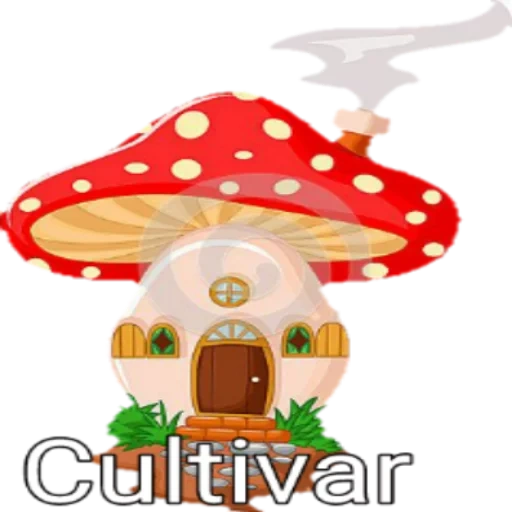 champiñón, casa de champiñones, casa de champiñones, casas de niños de agaric fly, casa de cuento de hadas muhomor