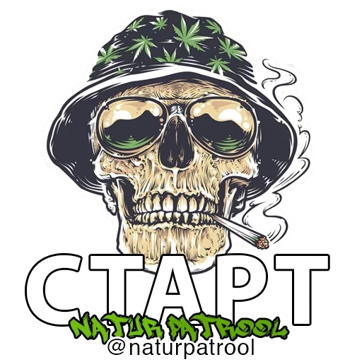 caveira, skull drawing, the skull is hemp, skull of traman, skull marijuana