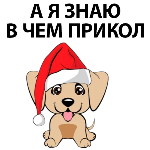 dog, песик, собака, прикол, счастливая собака