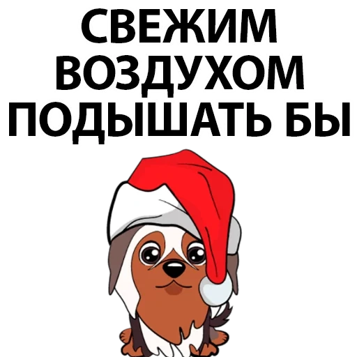 собака, прикол, собаки разные, dog christmas, счастливая собака