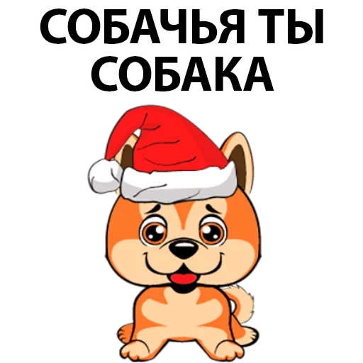 собака, собаки, породы собак, собака собака