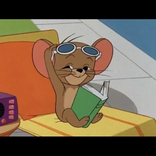 humain, jerry mem, fromage jerry mem, la souris de jerry avec des lunettes