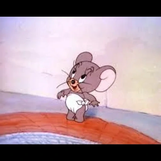 tom jerry, jerry taffy mouse, tikus kecil tom jerry, grey mouse tom jerry, popok tikus kecil tom jerry