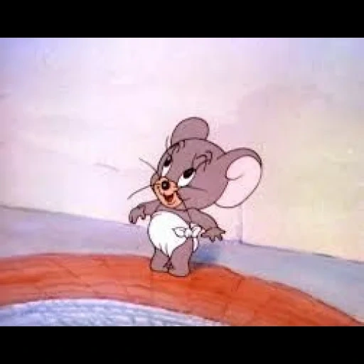 tom jerry, maus jerry taffy, maus tom jerry, graue maus tom jerry, maus tom jerry pampers