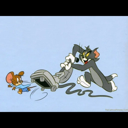 tom jerry, cat tom jerry, tom jerry 1950, jerry tom jerry, tom jerry tom jerry