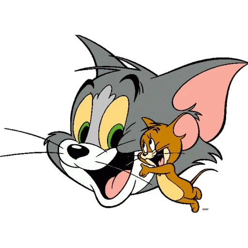 tom jerry, tom tom jerry, moustache tom jerry, le nouveau volume de jerry, la tête de tom jerry