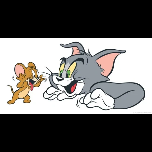 tom jerry, jerry mouse, tom jerry disc, tom cartoon tom jerry, tom jerry tsvetnoy drawing