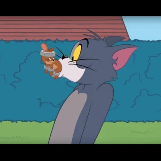 tom jerry, zeigen sie tom jerry, tom jerry raucht, zeigen sie tom jerry tom, tom cartoon tom jerry