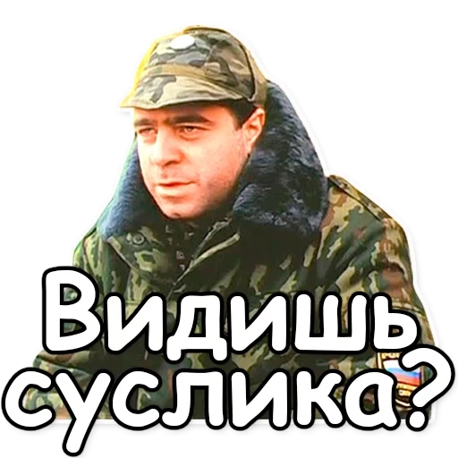 военный, дмб суслик, видишь суслика, ты видишь суслика, дмб видишь суслика