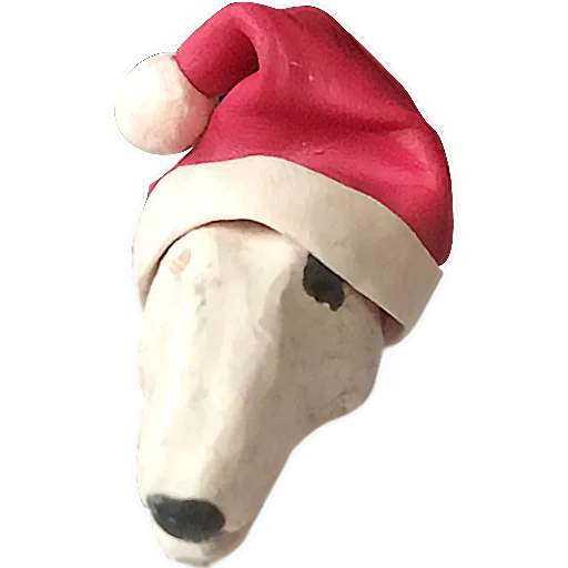 новогодняя шапка, колпак новогодний, новогодняя собака, новогодние шарфики собак, собака новогоднем колпаке