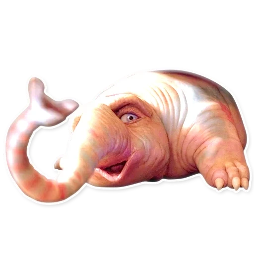the fifth element sorge pets, the fifth element animal sorge