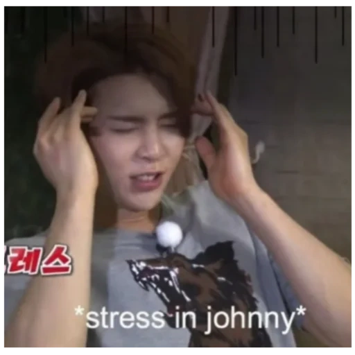 asiático, taiyang, nct 127, nct memes, nct johnny