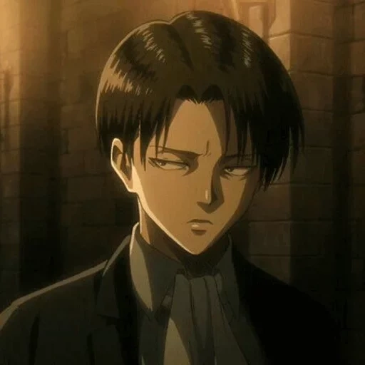 levi, леви, леви акерман, levi ackerman, леви аккерман