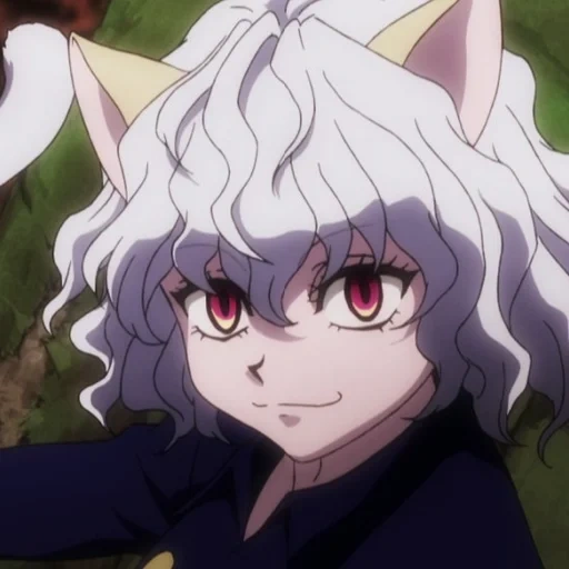 non-ferrite, neferpitou, nefepitu hunte, neferpitou milashka, anime hunter neferpitu