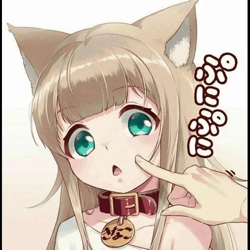 nekan, anime some, kinako is not, 40hara kinako, anime kinako cat
