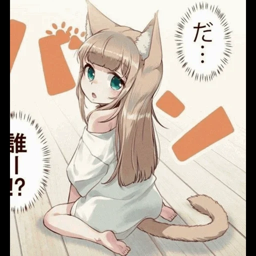 anime beberapa, kucing anime, anime gadis kucing, 40hara anime kinako, anime shimahara 40hara