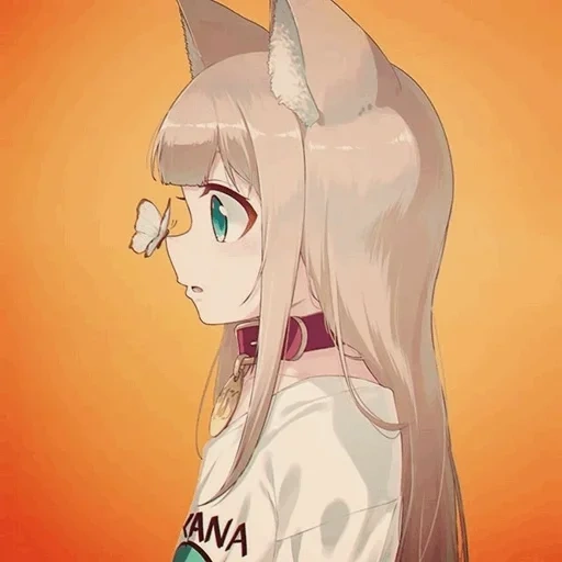 anime neko, gina nako neko, anime del gatto della ragazza, anime kinako cat, shimabara 40hara neko