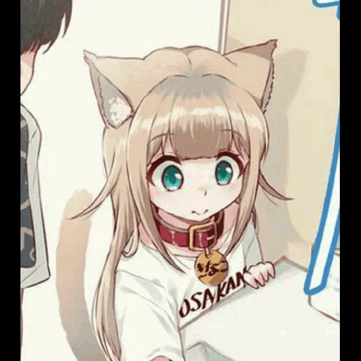 anime, anime algunos, anime cat chan, manga de osakana neko, anime de gato de niña