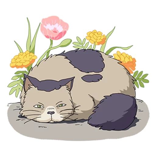 cats, cat, cats, anime chat, anime mignon