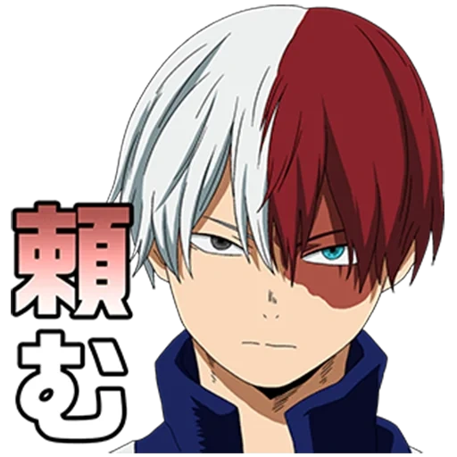 todoroki, todoroki, todoromushota, foto todoroki, my heroes academy