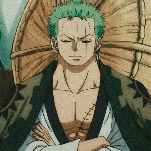 zoro, roronoa zoro, anime one piece, anime roronoa zoro, van pis roronoa zoro