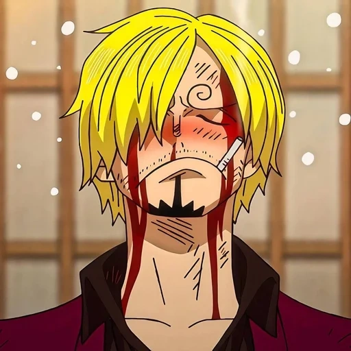 sanji, winsmock sanji, sanji vanpis, anime one piece, personnages d'anime