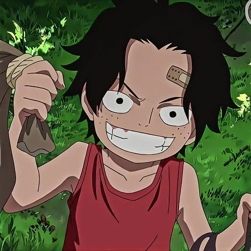 luffy, ace luffy, luffy van, saudara luffy, one piece luffy