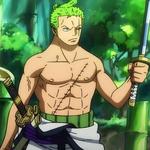 zoro, rolonoa, zorro rolonoa, one piece zoro, rolonoa zoro vano