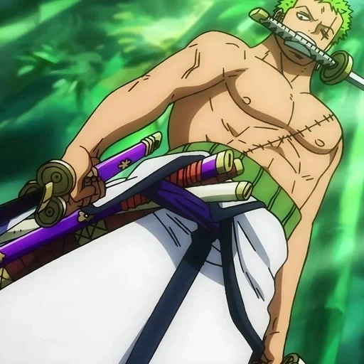 zoro, ein stück, roronoa zoro, zoro gegen könig, one piece episode 957