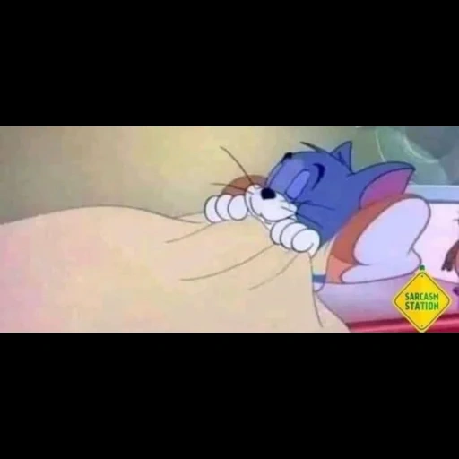 кот, tom спать, том джерри, том джерри спят, tom and jerry meme