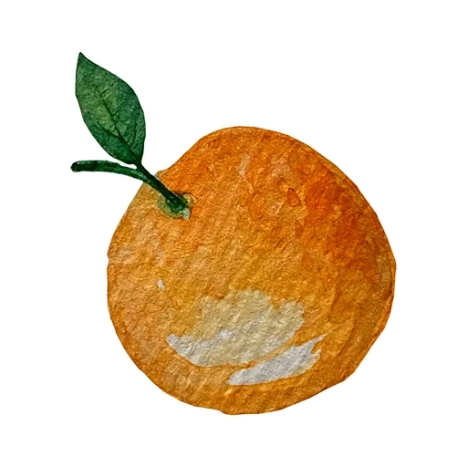 orange, fruits d'orange, feuilles orange, tangerines et mandarines, orange sur fond blanc