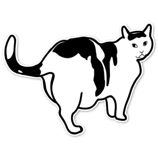 contorno de gato, el gato es vector, gato blanco negro, gato blanco negro, corte el contorno en blanco y negro