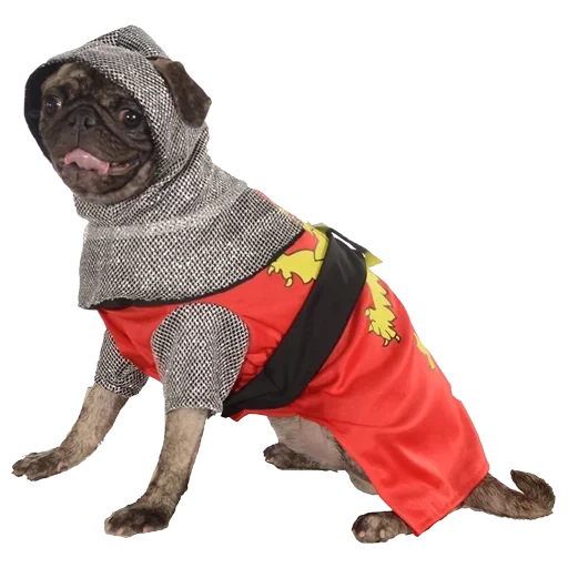 clothing for large dogs, dog in a costume of a knight, clothing for animals, winter clothing for dogs, costumes for dogs