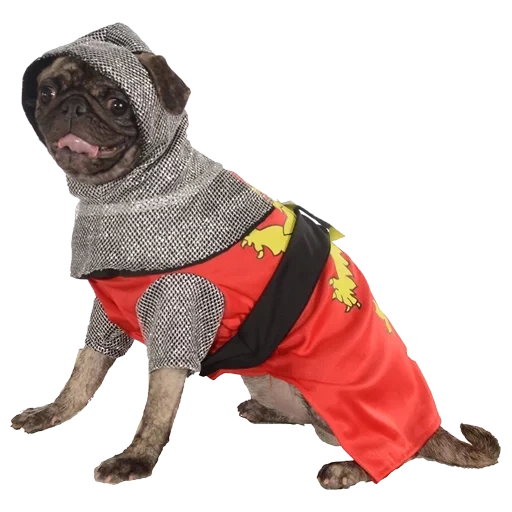 vêtements pour grands chiens, chien dans un costume de chevalier, vêtements pour animaux, vêtements d'hiver pour chiens, costumes pour chiens