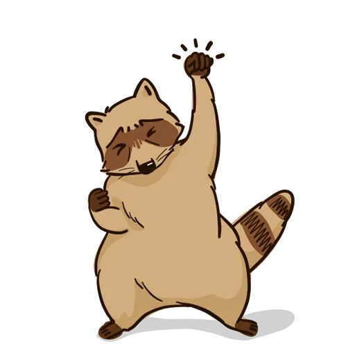 cat, raccoon, cats, dancing raccoon, funny animals