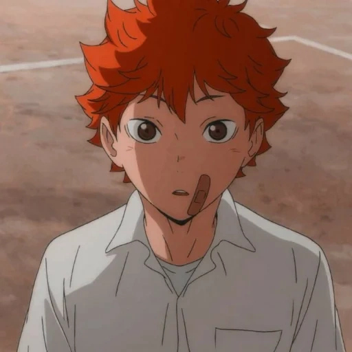 haikyuu, хината шоё, hinata shoyo, танака хината, хината шоё 2 сезон