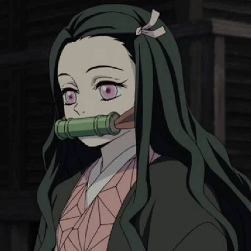 nezuko, ninko kanto, coupez la lame du démon, coupez la lame du démon uchi zuko, la lame démoniaque de zuko kantouchi